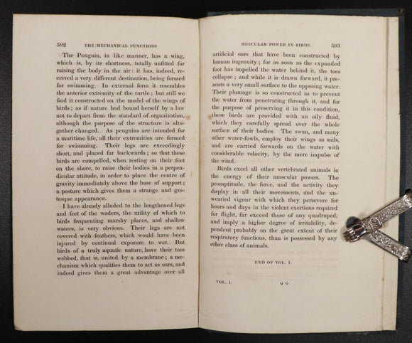 a130cb86-7be6-4add-8e03-68f4735c4d9b