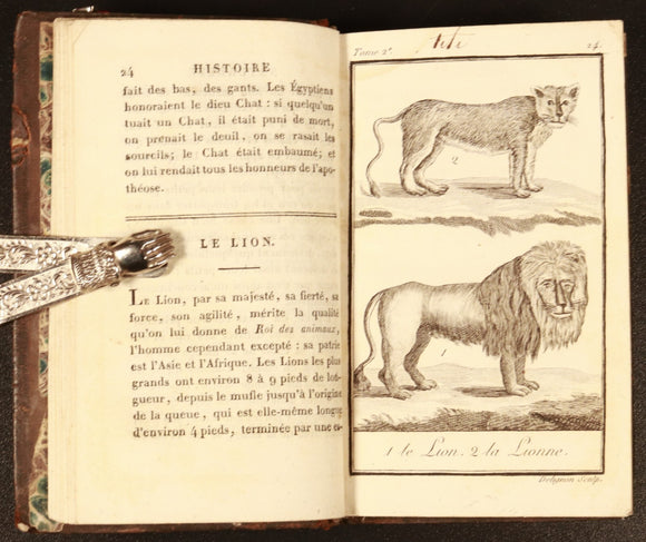 a21da077-882e-4785-9c00-ee45225a0c45