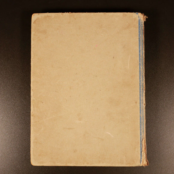 c1930's Walt Disney's Donald Duck Antique Illustrated Childrens Book Birn Bros.