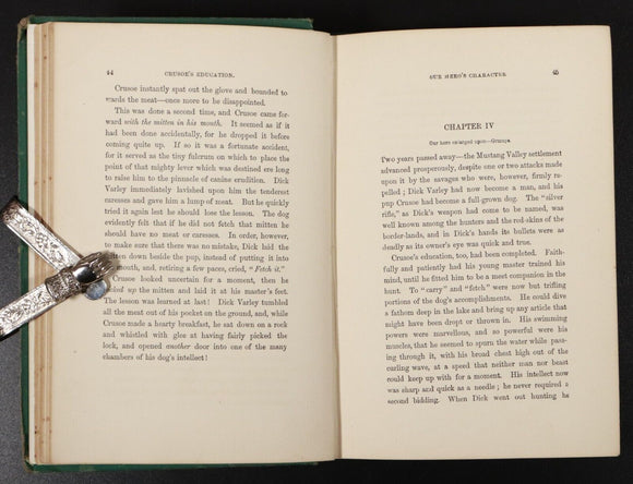1882 The Dog Crusoe & His Master by RM Ballantyne Antique Adventure Fiction Book