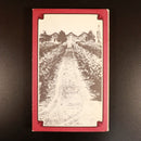 1968 The Fortunes Of Samuel Wynn Zionist Jewish Australian History Book-9