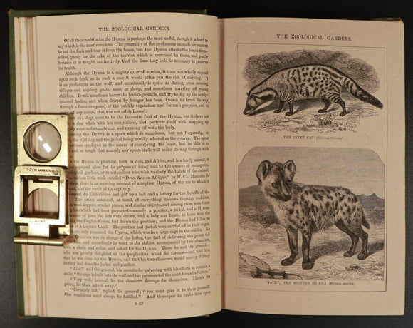 c1890 Adventures Of Two Brave Boys by G.A. Henty Antique Children's Book