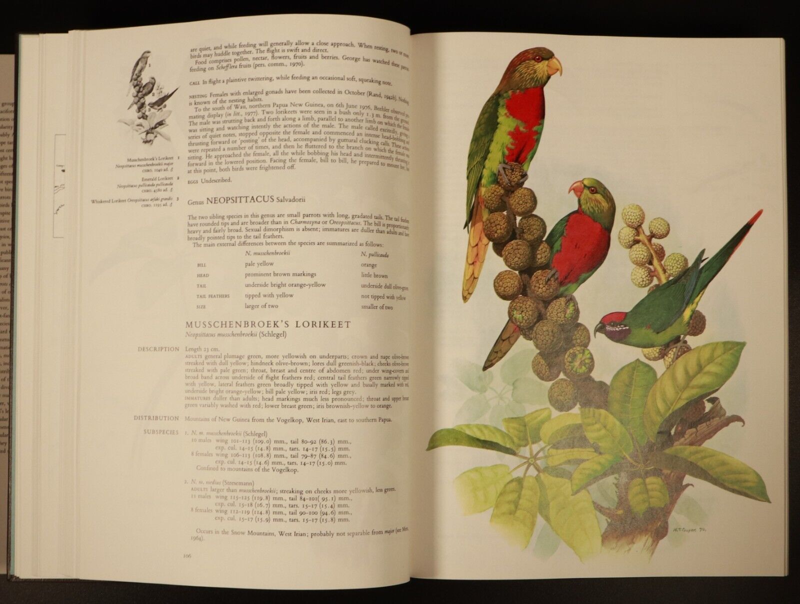 1978 Parrots Of The World by J.M. Forshaw Illustrated Bird Reference Book 2nd Ed