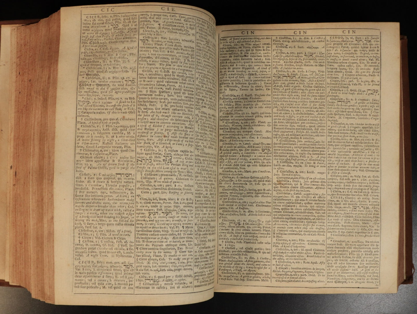 a7bba7c9-88ec-482c-a32a-97b7d8149b19