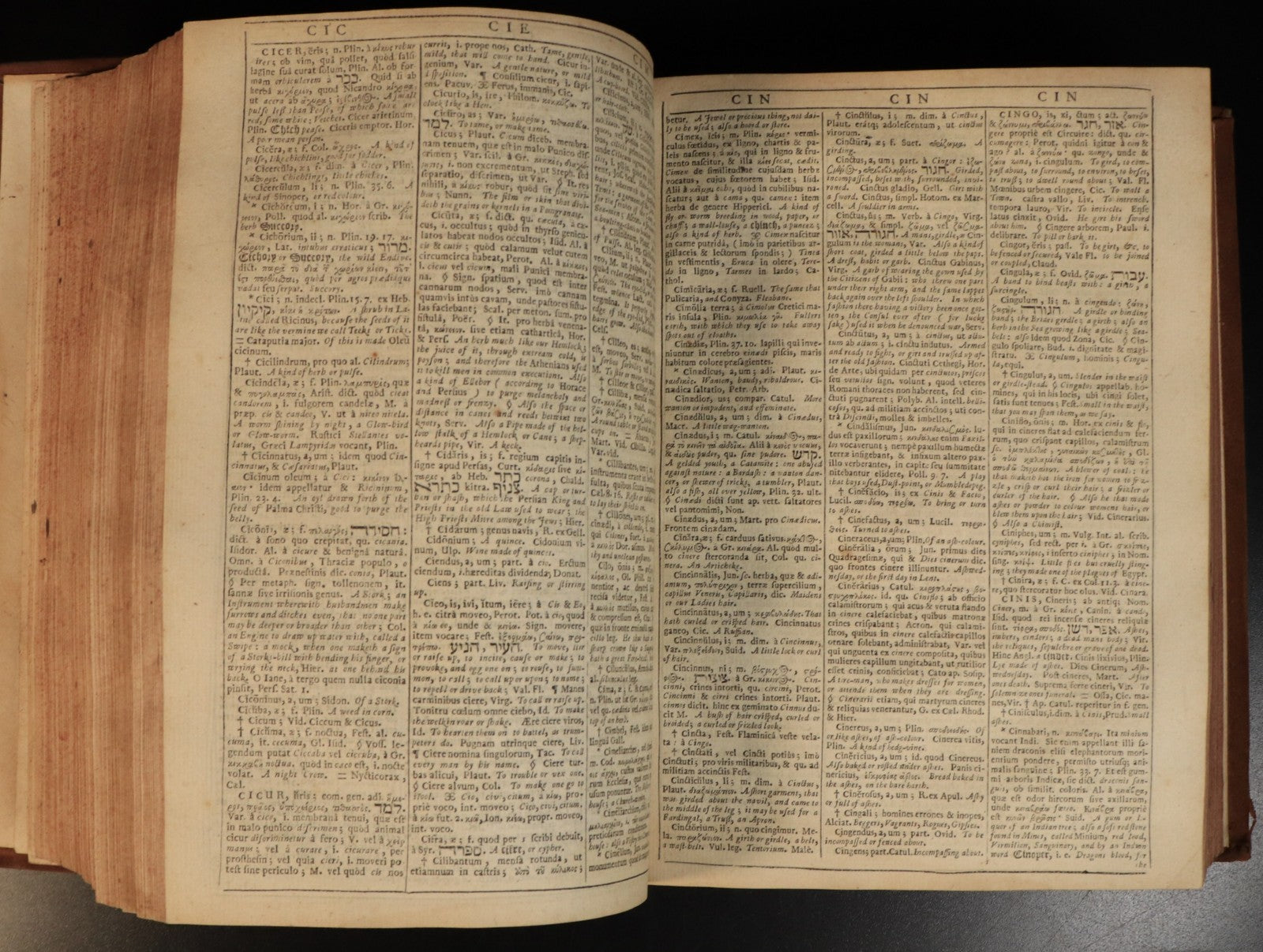 a7bba7c9-88ec-482c-a32a-97b7d8149b19