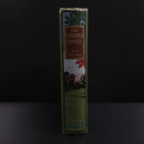 c1900 The Fitzgerald Family by M.S. Madden Antique British Fiction Book RTS-12