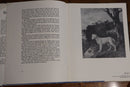 1964 Gainsborough: A Biography by E Ripley 1st Edition British Artist Book-4