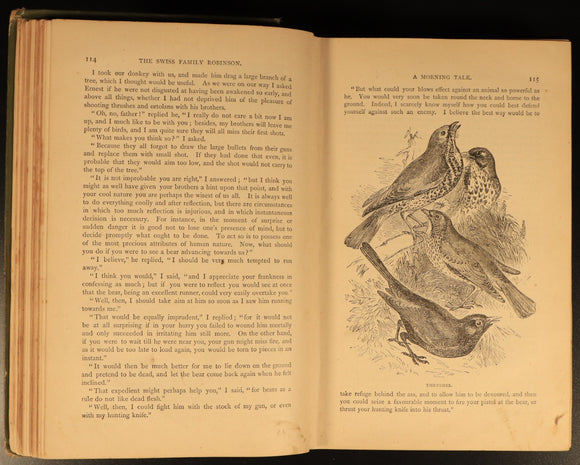 c1898 Swiss Family Robinson by H. Frith Antique Illustrated Fiction Book