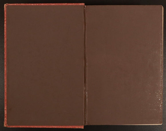 1886 Under Bayard's Banner by Henry Frith Antique Illustrated Irish Fiction Book