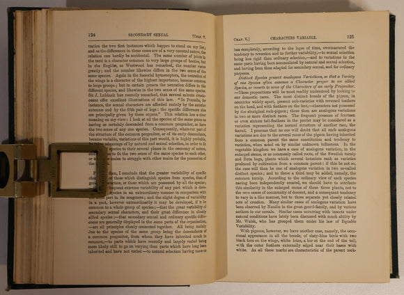 ab479733-b446-4a37-943d-1ee8a93625cb