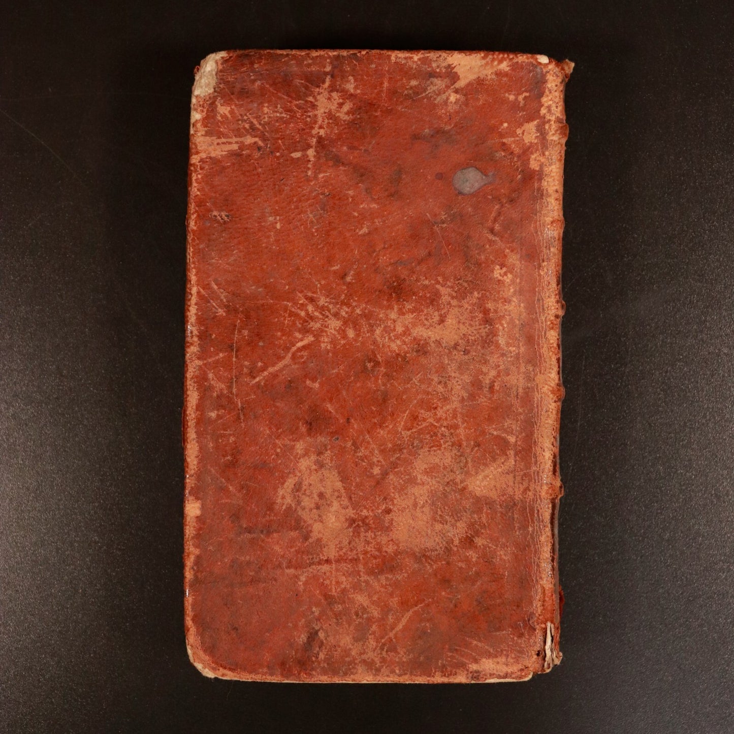 ab6ca007-c138-437c-a146-09120176c439