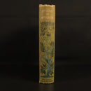 acaa4921-f4cb-47dc-9031-a674493dba93