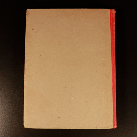 c1950 My Pet Panda Antique British Illustrated Childrens Book Birn Brothers Ltd