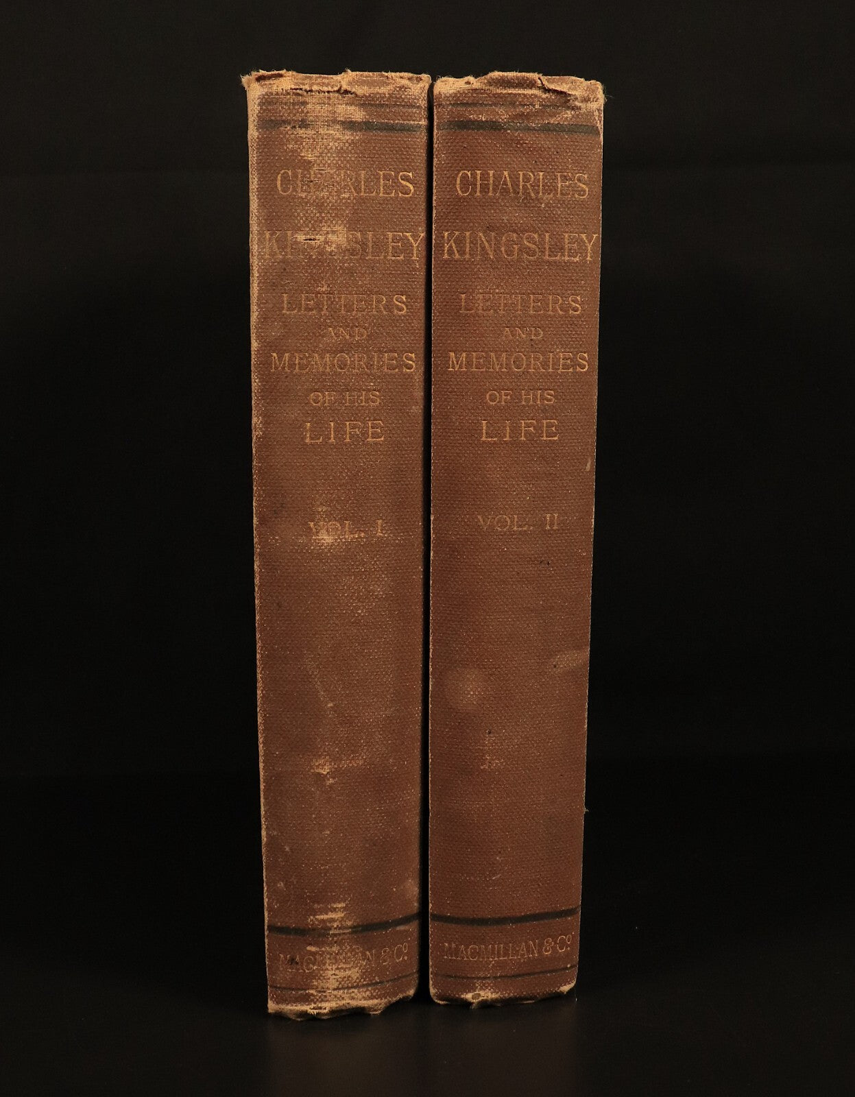 1891 Charles Kingsley Letters & Life British Religious History & Biography Books