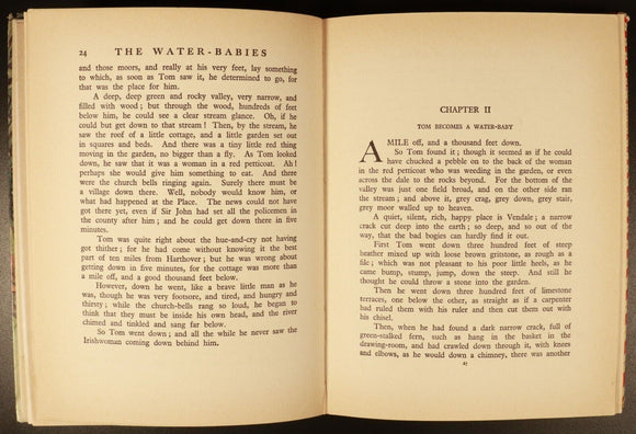 c1950 The Water Babies by Charles Kingsley Vintage Children's Book H.G. Theaker