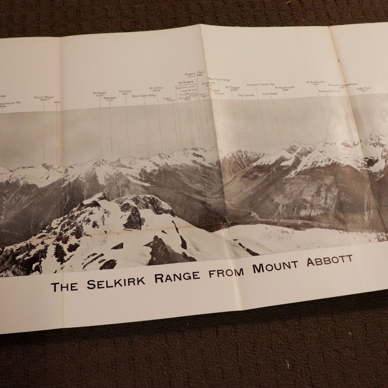 af917cc5-e16b-4773-acfc-8bcf01ea445b