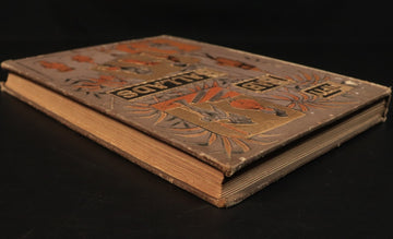 afeb7748-e516-4bf4-bd89-da6e91c623ae