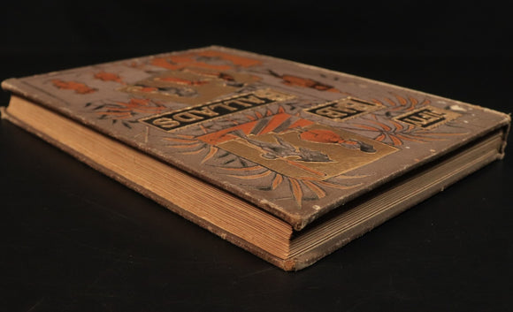 afeb7748-e516-4bf4-bd89-da6e91c623ae