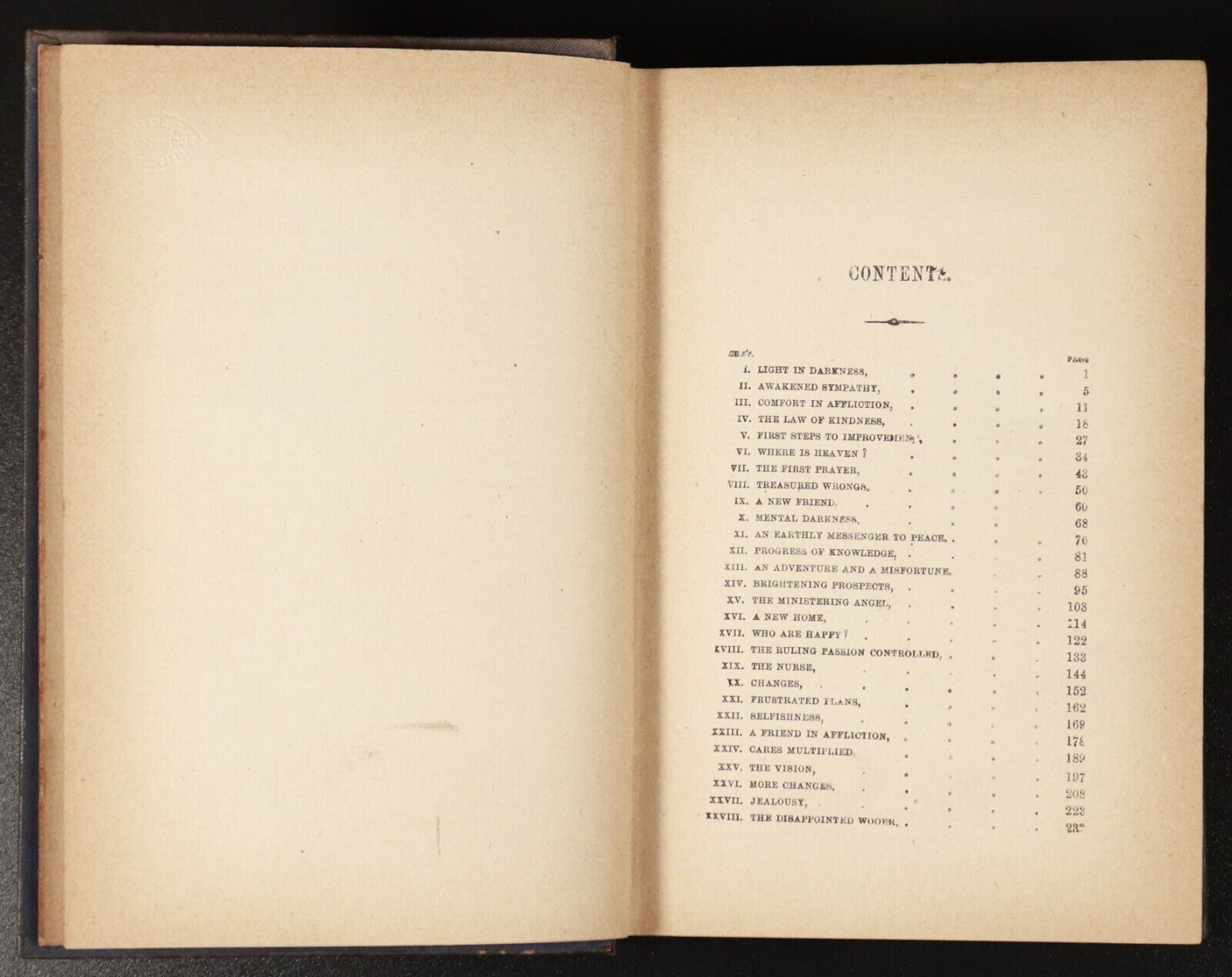 c1885 The Lamplighter by Maria S. Cummins Antique Fiction Book Female Author