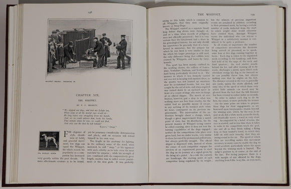 b05a31d0-7c46-4f70-8eb7-0df61e40c50f