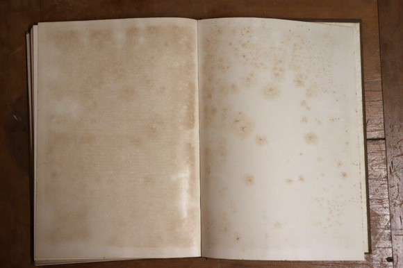 b05e7cd0-6aa2-4788-934c-13c8eb66e95a