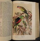 b09c8113-0bc6-4c30-8935-541f2df0678e