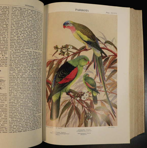 b09c8113-0bc6-4c30-8935-541f2df0678e