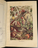 b0fd5ce5-97a4-4f6b-a6b9-223cd43363ad