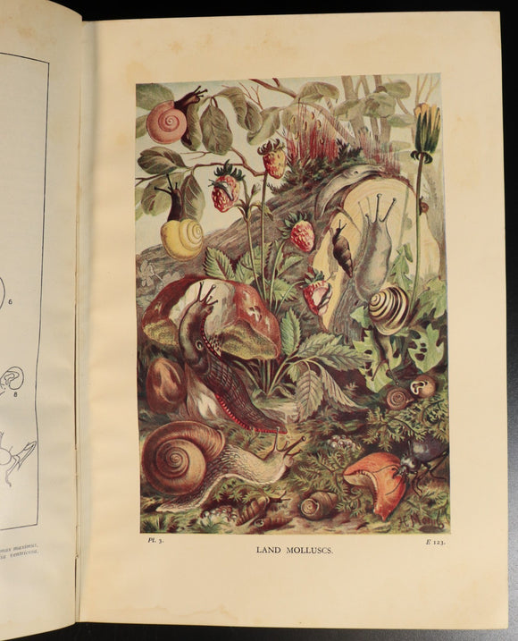 b0fd5ce5-97a4-4f6b-a6b9-223cd43363ad