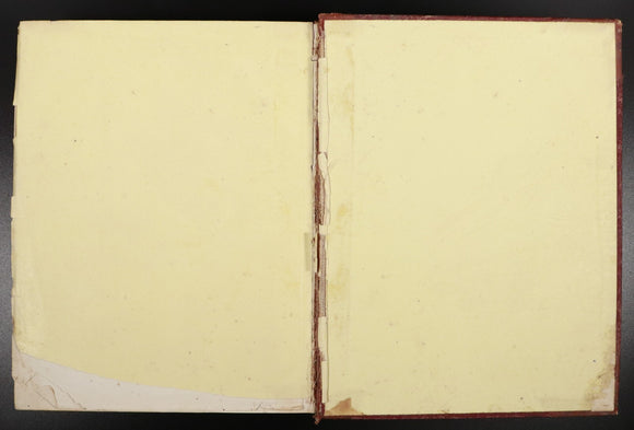 b149a57e-733d-4888-96a1-ea432e91fac9