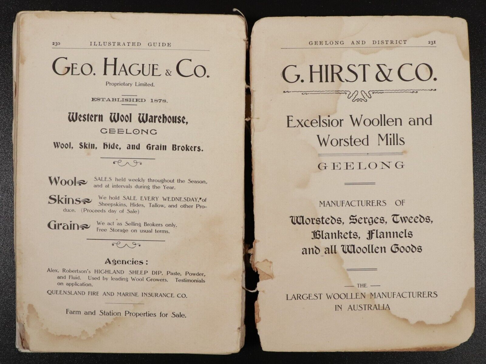 1908 Illustrated Guide To Geelong & District Australian Antique History Book