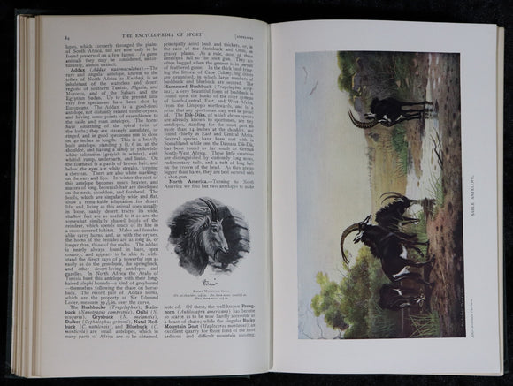 b24332bd-376e-437e-a593-3a41af7aac5d