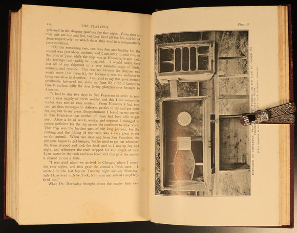 1927 The Platypus by Harry Burrell Australian Natural History Book 1st Ed