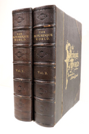 1878 2vol Picturesque World Scenes In Many Lands Antiquarian Book Set Engravings-1