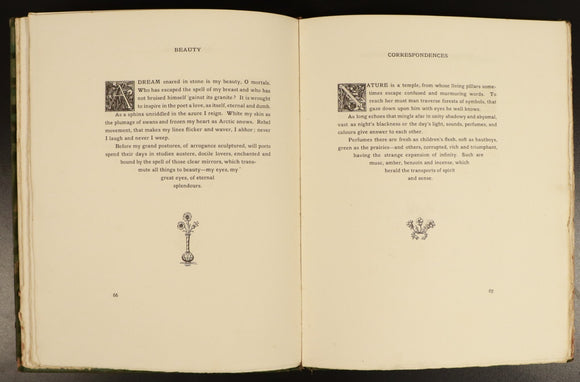 b2f19afd-1944-4e16-8e74-9719fcd9e8a6