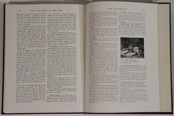 b36d9bb8-2919-48a4-92b7-92825a64b13a