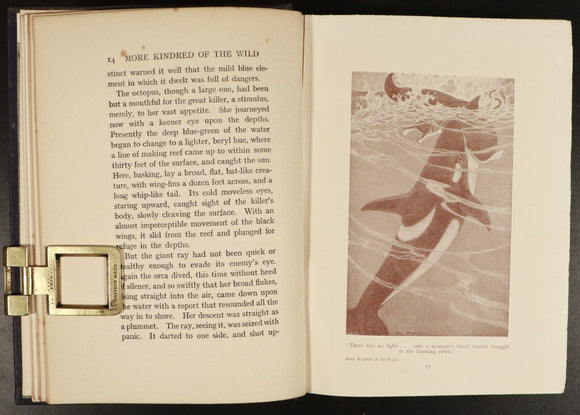 1911 More Kindred Of The Wild Charles Roberts 1st Edition Canadian Fiction Book