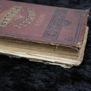 1889 Lett's Popular Atlas 2nd Edition 128 Folding Maps Antique Atlas Book-17