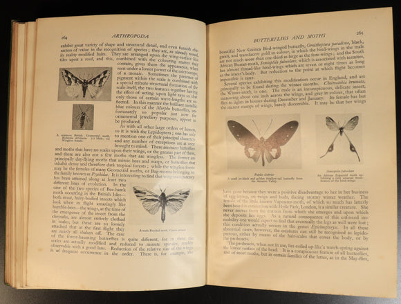 b3d2c196-a394-4796-aab4-3fc362292776