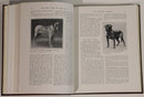 c1912 Cassell's New Book Of The Dog Antique British Dog Reference Books-6
