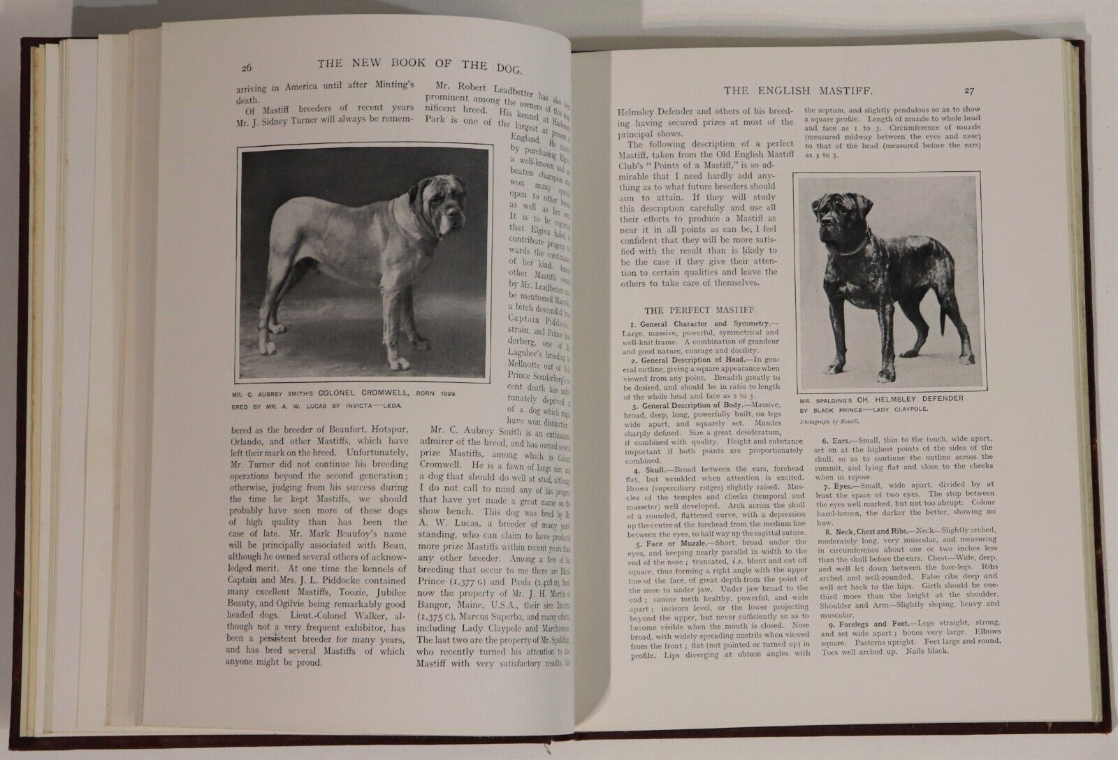 c1912 Cassell's New Book Of The Dog Antique British Dog Reference Books