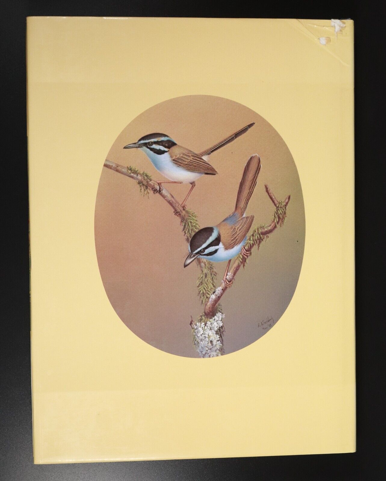 1982 The Fairy-Wrens by Richard Schodde Australian Wildlife Bird Reference Book