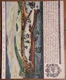 1950 The Architectural Review Magazine August 1950 Architect Reference Book 644-1