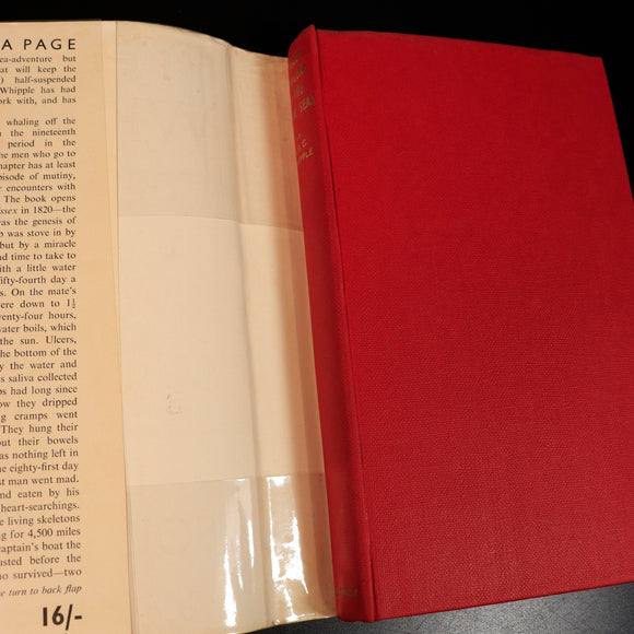 b4e89877-abd3-4a95-9420-2a246501f910