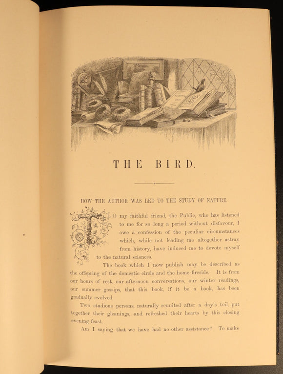 The Bird by Jules Michelet & Giacomelli 1895 Antique Natural History Book Gilt