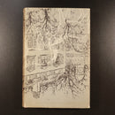 1957 The Fountain Overflows by Rebecca West British Fiction Book-9