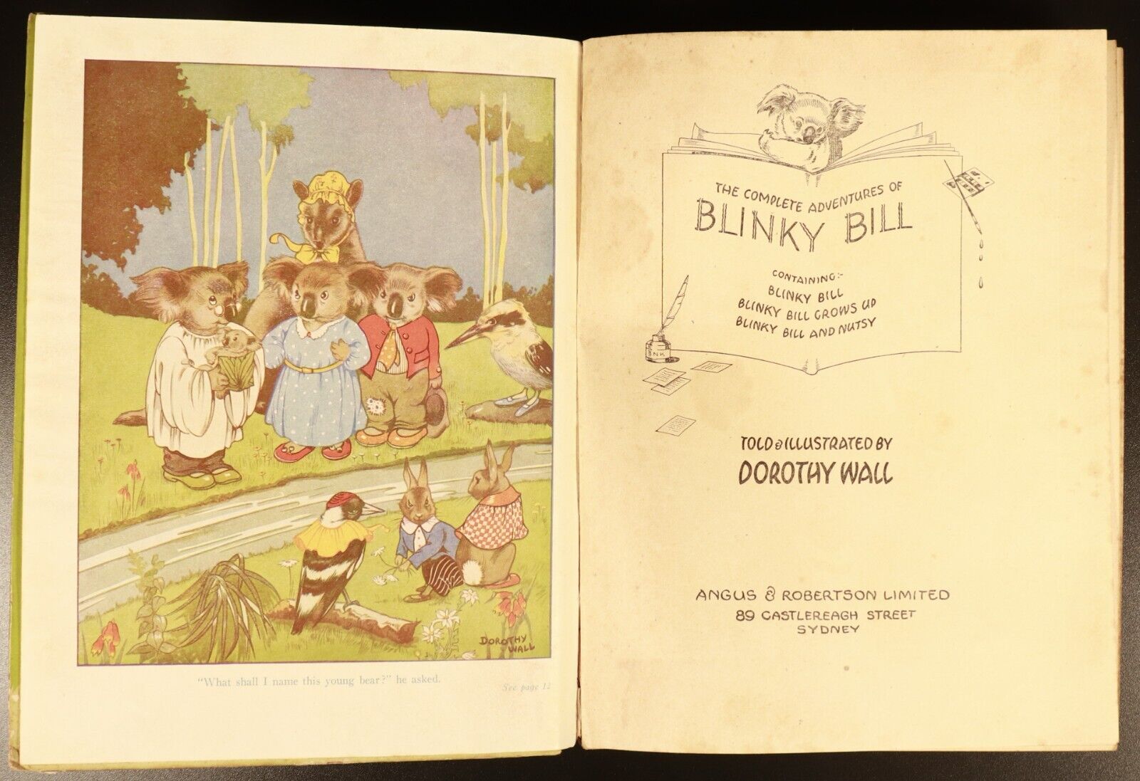 1942 The Complete Adventures Of Blinky Bill Vintage Australian Childrens Book