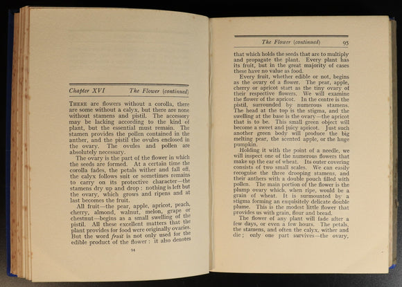 b547bfe8-79f8-4250-b8e3-8c22c761273e