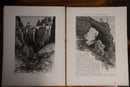 c1880 Picturesque Europe - Division 17 Rare Antiquarian Engravings Plates Book-9