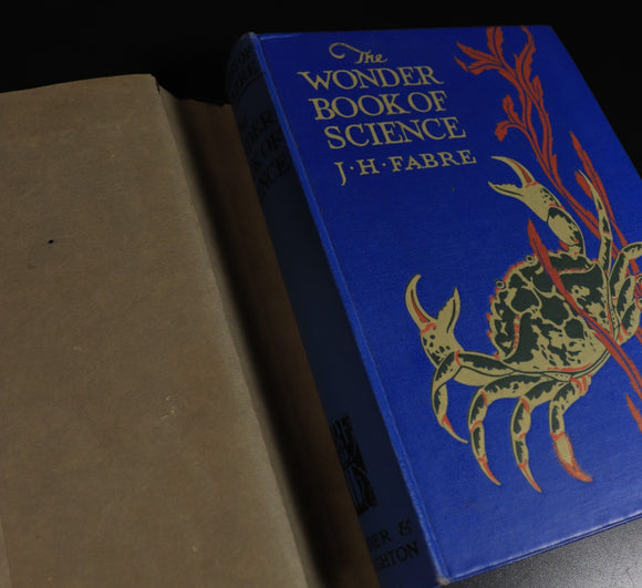 b74d96d9-7d13-4865-ab90-ad01aa5efb30